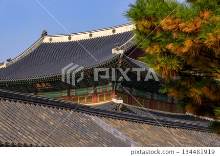 Autumn scenery at the Korean palace Autumn scenery at the Korean palace 134481919