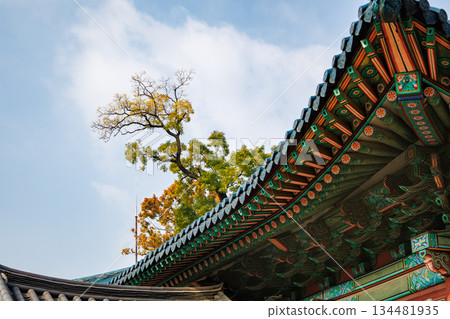 Autumn scenery at the Korean palace Autumn scenery at the Korean palace 134481935