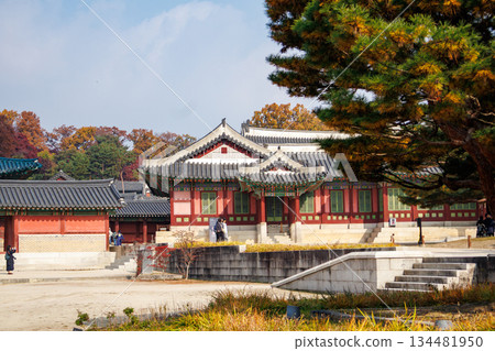 Autumn scenery at the Korean palace Autumn scenery at the Korean palace 134481950