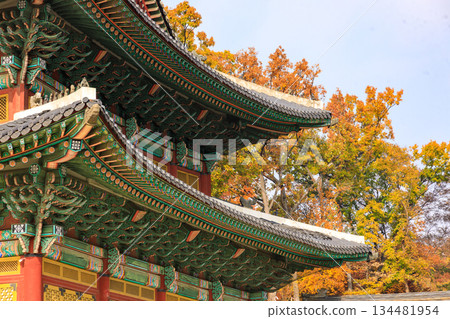 Autumn scenery at the Korean palace 134481954