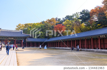 Autumn scenery at the Korean palace 134481963