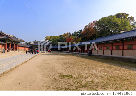Autumn scenery at the Korean palace Autumn scenery at the Korean palace 134481965