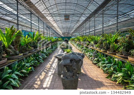 Jeju Island Stone Carving Museum 134482949