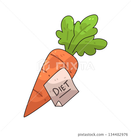 illustration of Carrot for diet illustration of Carrot for diet 134482976