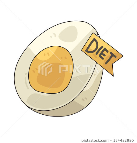 illustration of Boiled Egg for diet illustration of Boiled Egg for diet 134482980