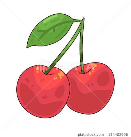 illustration of cherry illustration of cherry 134482996