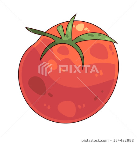 illustration of Tomato 134482998