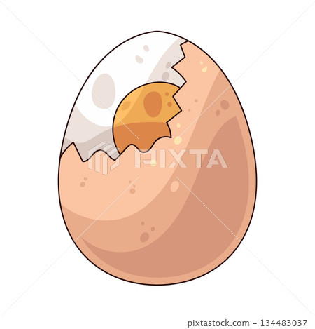illustration of Boiled Egg 134483037