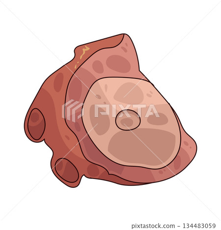 illustration of Octopus illustration of Octopus 134483059