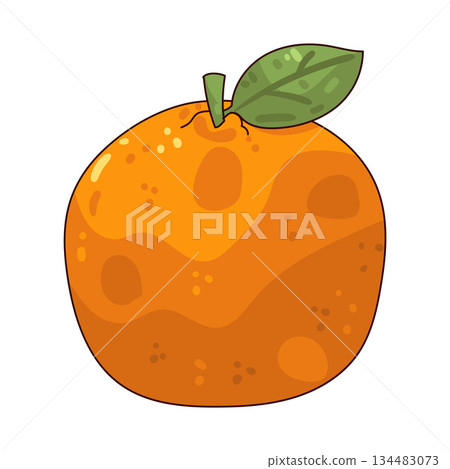 illustration of Orange fruit illustration of Orange fruit 134483073