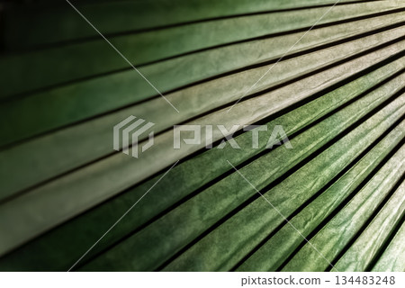 A light of a Japanese umbrella A light of a Japanese umbrella 134483248