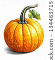 Vibrant Orange Pumpkin with Green Stem and Leaf on White Background Detailed Still Life 134483715