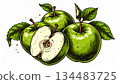 Illustration of Green Apples with Leaves and Seeds on White Background 134483725