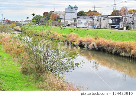 越谷散步 - 新潟川、大泊、越谷市 越谷散步 - 新潟川、大泊、越谷市 134483910