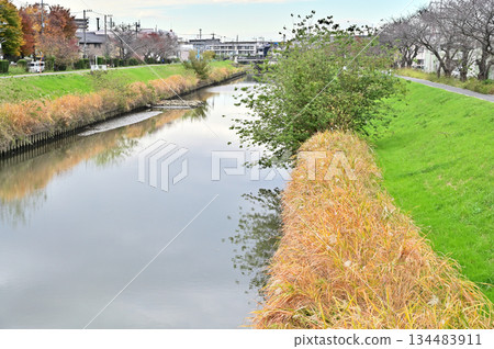 越谷散步 - 新潟川、大泊、越谷市 越谷散步 - 新潟川、大泊、越谷市 134483911