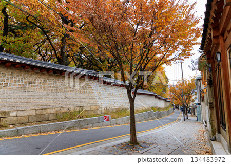 Beautiful autumn scenery around the Korean palace Beautiful autumn scenery around the Korean palace 134483972