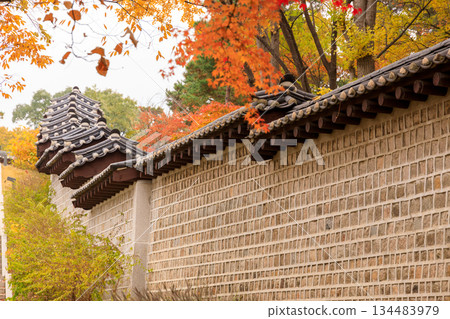 Beautiful autumn scenery around the Korean palace Beautiful autumn scenery around the Korean palace 134483979