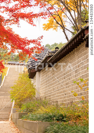 Beautiful autumn scenery around the Korean palace 134483980