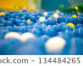 Many small colorful balls in the pond of indoor playground 134484265