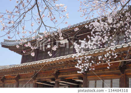 Cherry Blossoms on the Wooden Roof of Deoksugung Palace in Seoul 134484318