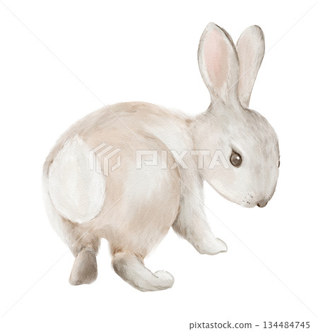 Cute Easter bunny rabbit in watercolor style. Isolated clipart. Hand drawn illustration. Perfect for holiday designs, greeting cards, invitations, Easter gifts, egg decoration. Pastel animal art. Cute Easter bunny rabbit in watercolor style. Isolated clipart. Hand drawn illustration. Perfect for holiday designs, greeting cards, invitations, Easter gifts, egg decoration. Pastel animal art. 134484745