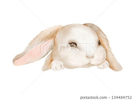 Cute Easter bunny rabbit in watercolor style. Isolated clipart. Hand drawn illustration. Perfect for holiday designs, greeting cards, invitations, Easter gifts, egg decoration. Pastel animal art. Cute Easter bunny rabbit in watercolor style. Isolated clipart. Hand drawn illustration. Perfect for holiday designs, greeting cards, invitations, Easter gifts, egg decoration. Pastel animal art. 134484752