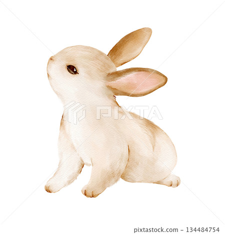 Cute Easter bunny rabbit in watercolor style. Isolated clipart. Hand drawn illustration. Perfect for holiday designs, greeting cards, invitations, Easter gifts, egg decoration. Pastel animal art. 134484754