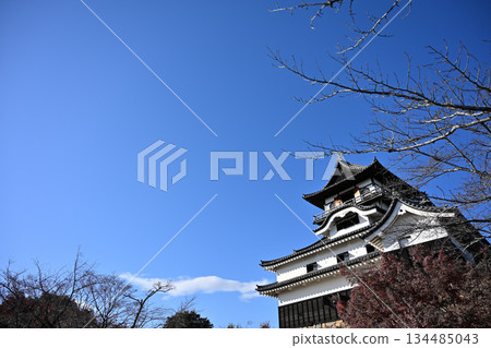 [National Treasure] Inuyama Castle in early winter (Inuyama City, Aichi Prefecture) 134485043