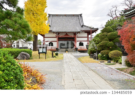 越谷散步 - 淨土宗安國寺、越谷市大泊 134485059