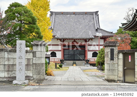 Walking around Koshigaya - Jodo sect Ankokuji Temple, Odomari, Koshigaya City 134485092