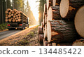 Logs stacked along a forest road with a logging truck in the background, showcasing the timber industry and natural landscape 134485422