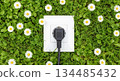 Electrical outlet surrounded by vibrant green grass and white daisies, symbolizing nature and technology in harmony 134485432