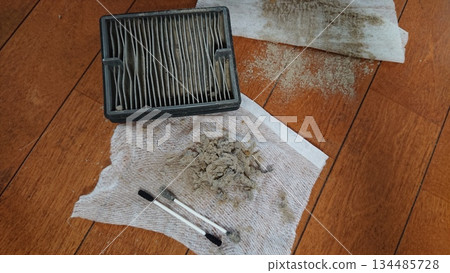 Clean the vacuum cleaner filter during a general cleaning Clean the vacuum cleaner filter during a general cleaning 134485728