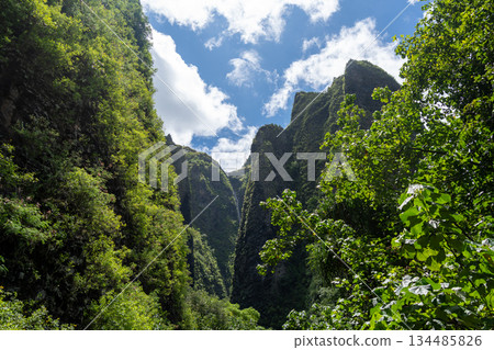 Vaipo waterfall in Hakaui valley, Nuku Hiva, French Polynesia wild nature Vaipo waterfall in Hakaui valley, Nuku Hiva, French Polynesia wild nature 134485826