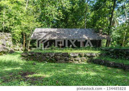 Thatched-roof building at Kamuihei archaeological site, Nuku Hiva, Marquesas Islands. French Polynesia 134485828