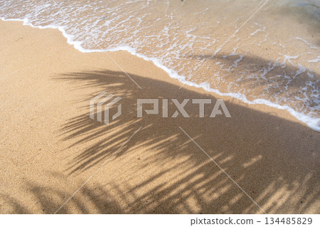 Palm tree shadow on Anaho Beach, Nuku Hiva, French Polynesia 134485829