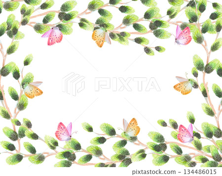 Restangular frame of willow branches and butterflies. Watercolor illustration. For fabric, wallpaper, packing paper, greeting cards, design, decoration and illustration. 134486015