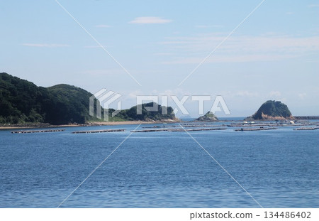 多巴灣的珍珠養殖筏 134486402