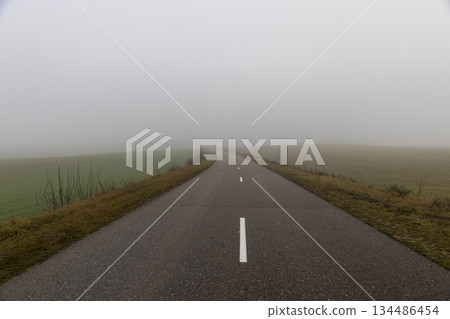 an asphalt road for cars in December in cloudy weather, the road and fog in the distance that obscures visibility, yellow grass and shrubs without foliage grow along the road 134486454