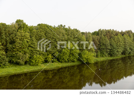 a river with dirty water in the summer in the park, trees growing near the river a river with dirty water in the summer in the park, trees growing near the river 134486482