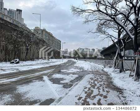 Snow-covered trees lining a quiet road, creating a breathtaking winter scene filled with peaceful beauty and serene white stillness—perfect for capturing the magic of a snowy landscape. 134486872