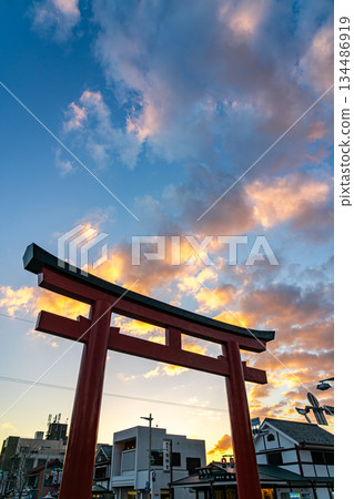 [Kanagawa Prefecture] The torii gate of Tsurugaoka Hachimangu Shrine under the beautiful sunset sky 134486919