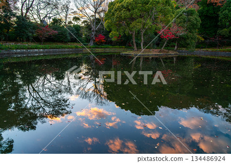 【神奈川縣】鶴岡八幡宮平家池中美麗的日落倒映著美麗的夕陽 134486924