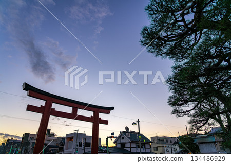 【神奈川縣】夕陽下的鶴岡八幡宮鳥居 【神奈川縣】夕陽下的鶴岡八幡宮鳥居 134486929