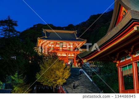 【神奈川縣】鎌倉鶴岡八幡宮日落後燈火通明 134486945