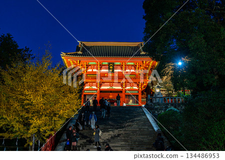【神奈川縣】夜晚的鶴岡八幡宮,美麗的大銀杏樹映入眼簾 【神奈川縣】夜晚的鶴岡八幡宮,美麗的大銀杏樹映入眼簾 134486953