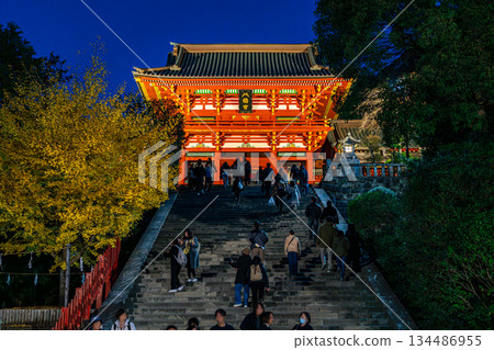 [Kanagawa Prefecture] Tsurugaoka Hachimangu Shrine at night with its beautiful large ginkgo tree 134486955