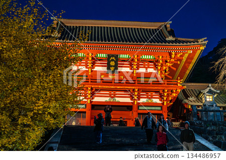 [Kanagawa Prefecture] Tsurugaoka Hachimangu Shrine at night with its beautiful large ginkgo tree 134486957