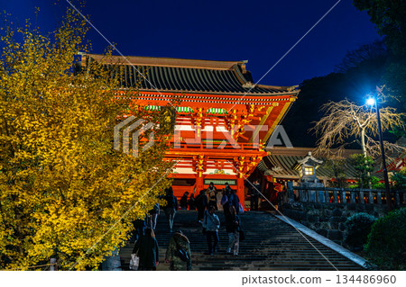 [Kanagawa Prefecture] Tsurugaoka Hachimangu Shrine at night with its beautiful large ginkgo tree 134486960