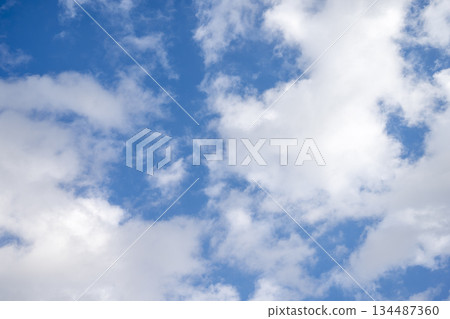 藍天，晴朗，冬日天空，天空素材，十二月 [神奈川縣] 134487360